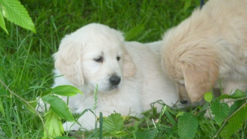 photos des bebes de farha  a 1 mois