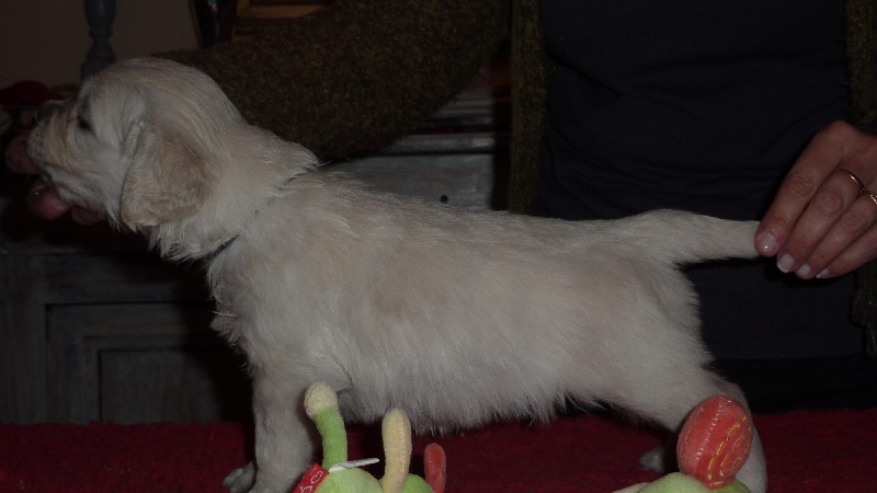 photos des bebes a 1 mois