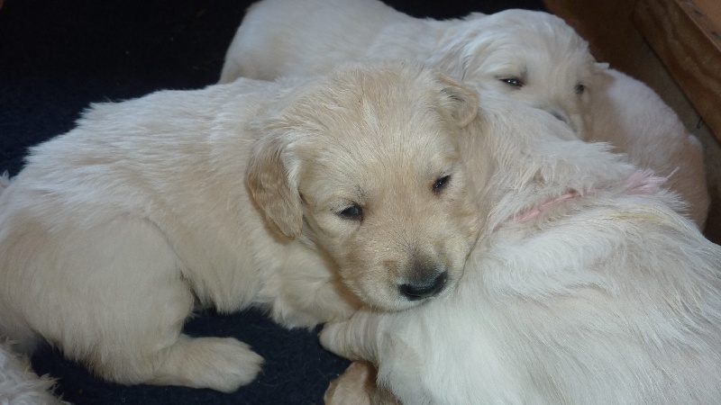 photos des bebes de farha